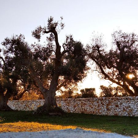 Trullo Bianco Ulivo Villa Ostuni Exterior photo